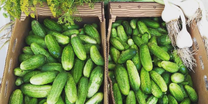 Cucumber List 2020