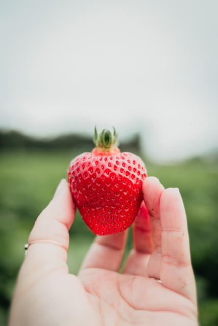 Don’t Miss Out On Fresh Strawberries