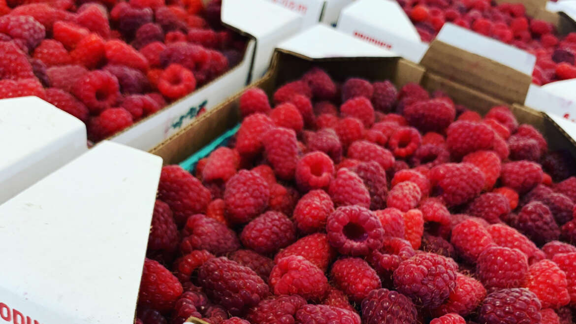 Raspberries