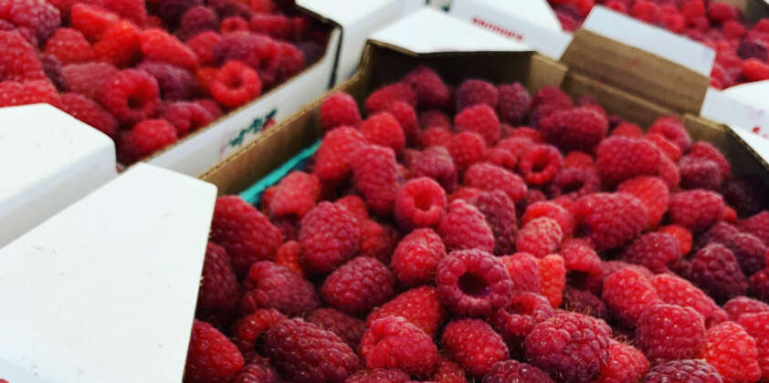 Raspberries