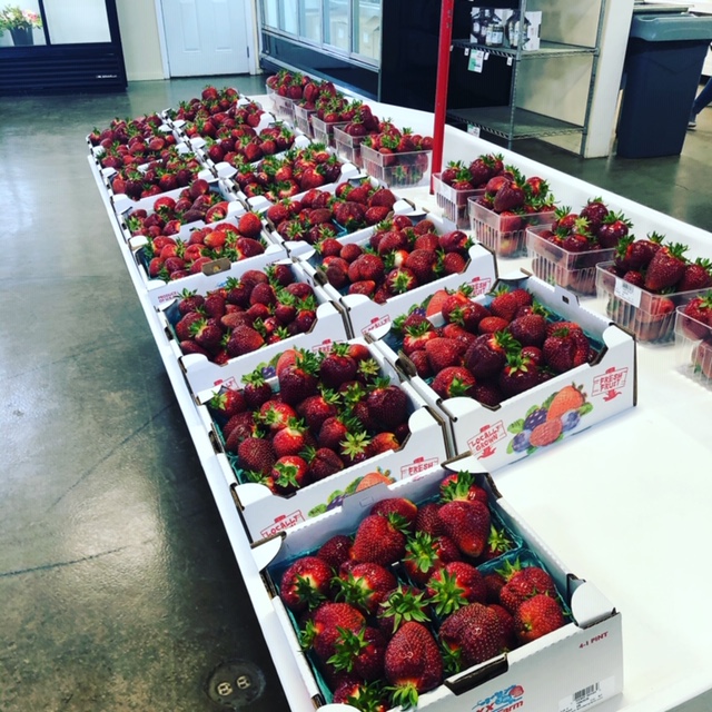 Strawberries Sold Out