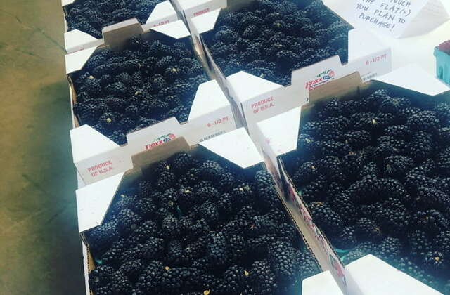 Blackberries