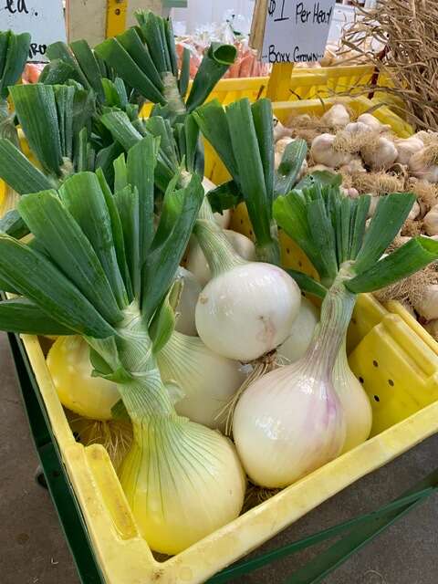 Onions Now in Our Store!