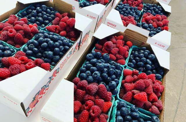 Raspberry/Blueberry Half-Flats