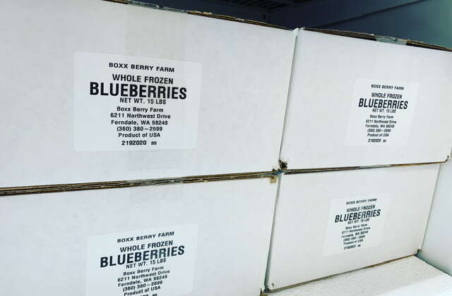 Frozen Blueberries – New Size