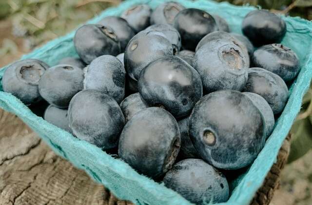 Blueberries!