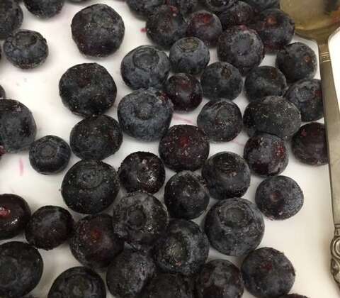 New Hours for Blueberry Upick