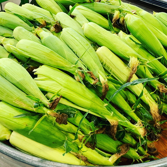 Boxx-Grown Corn