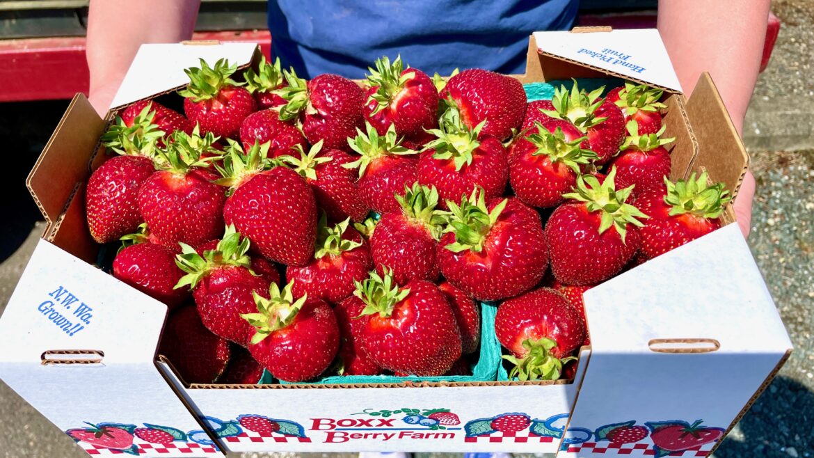 Strawberries