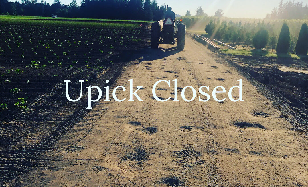 Upick Closed as of 6/28