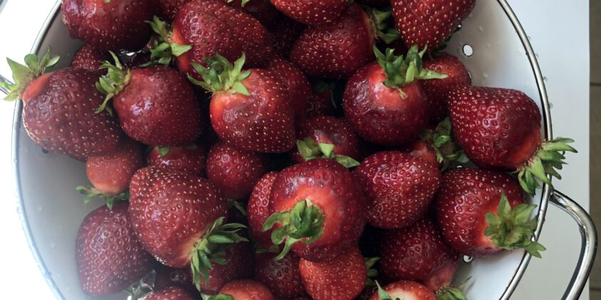 The best strawberries are now!
