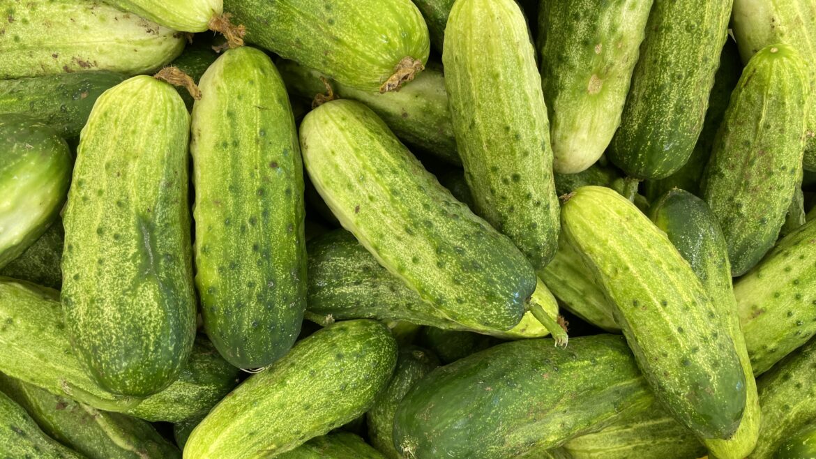 Cucumbers ?