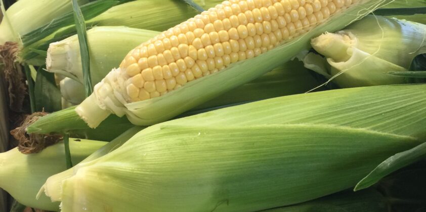 Corn is Here!