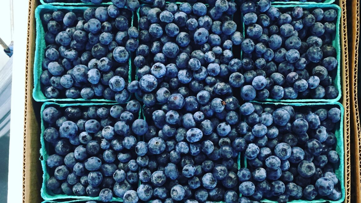 Blueberries are AMAZING