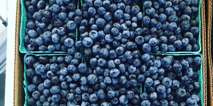 Blueberries are AMAZING