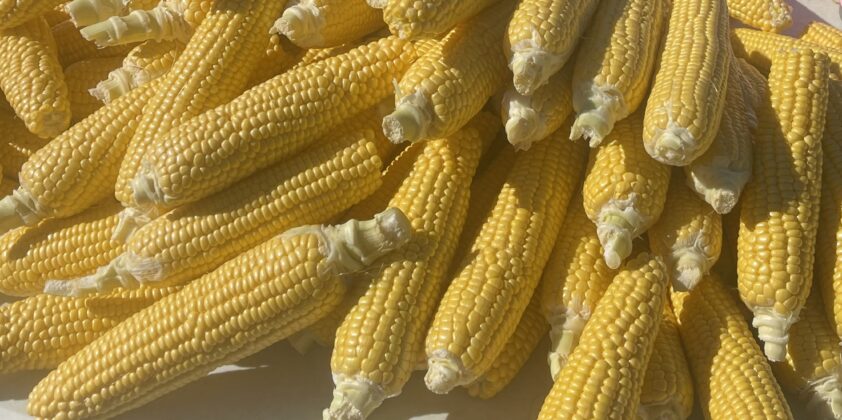 Freezer Corn