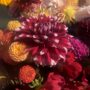 Dahlia Dig