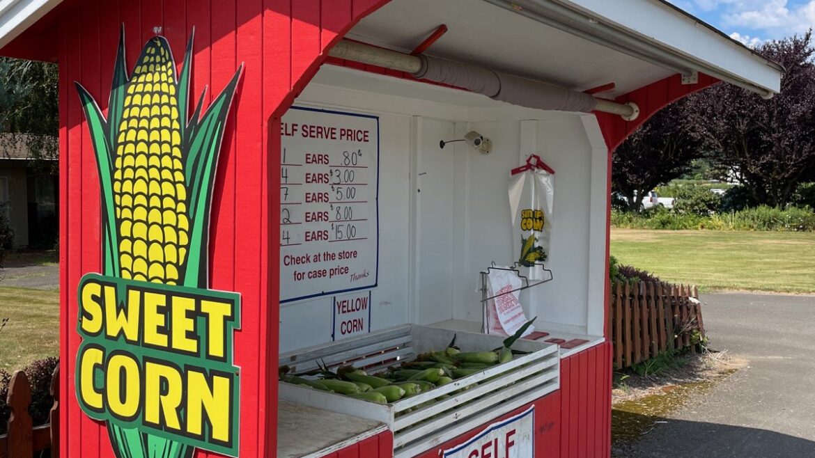 Self-Serve Corn Available