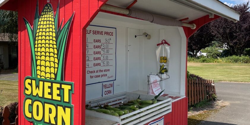 Self-Serve Corn Available