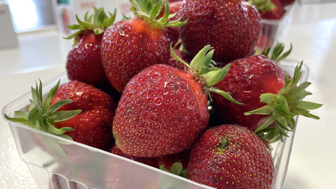 Strawberries in August