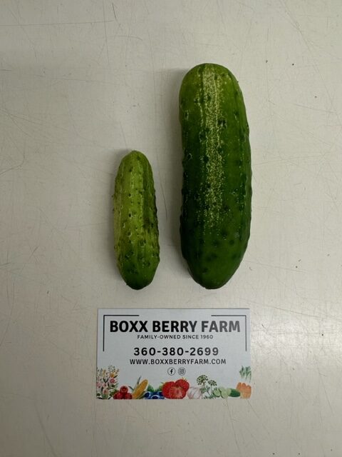 Cucumber Sizes