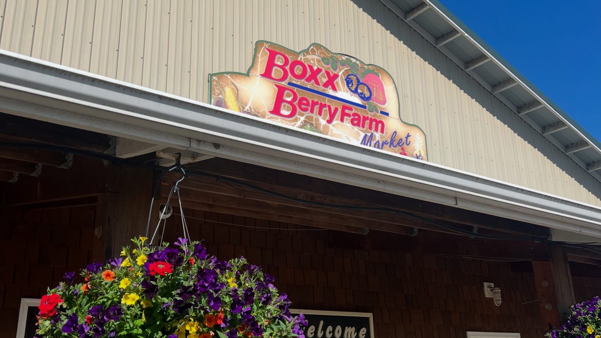 Boxx Berry Farm Announcement 5/16/2025