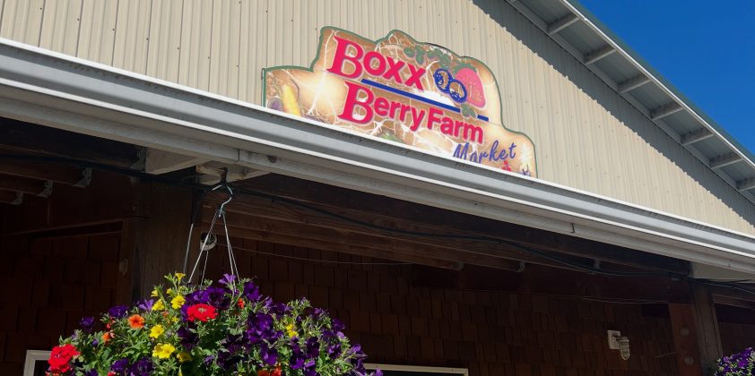 Boxx Berry Farm Announcement 5/16/2025