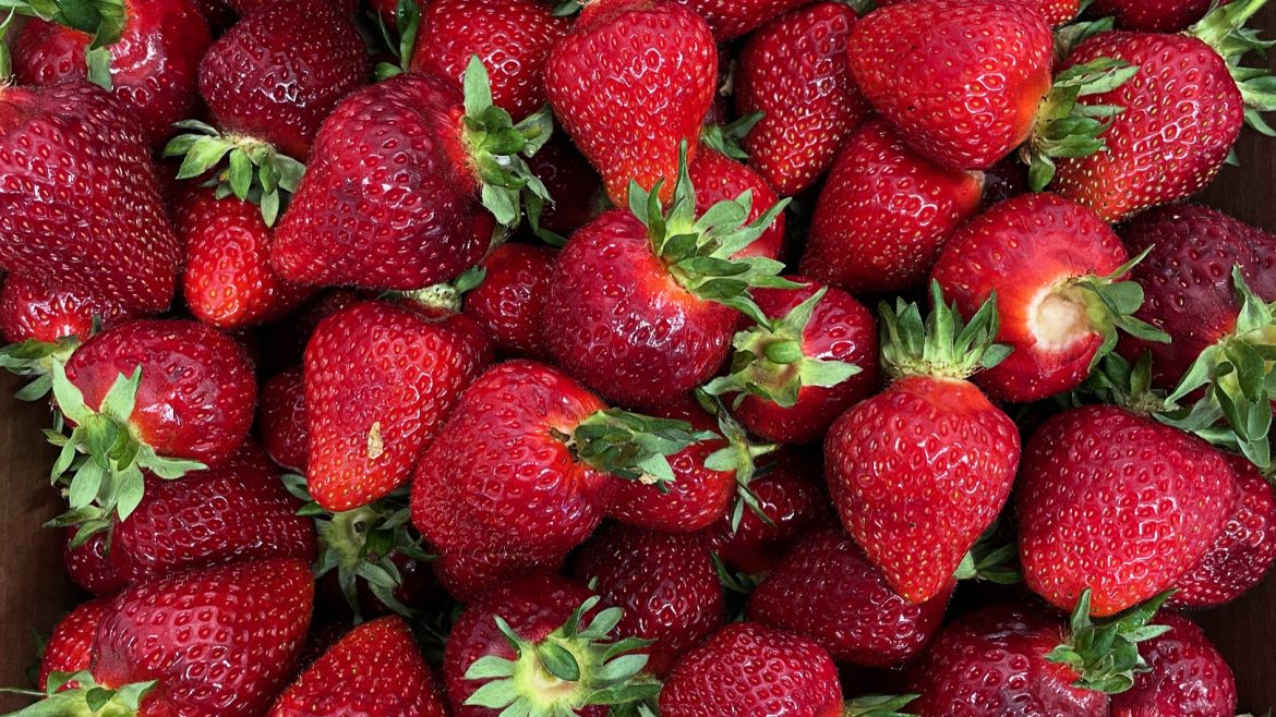 Fresh Boxx Strawberries in Store 6/2/2025