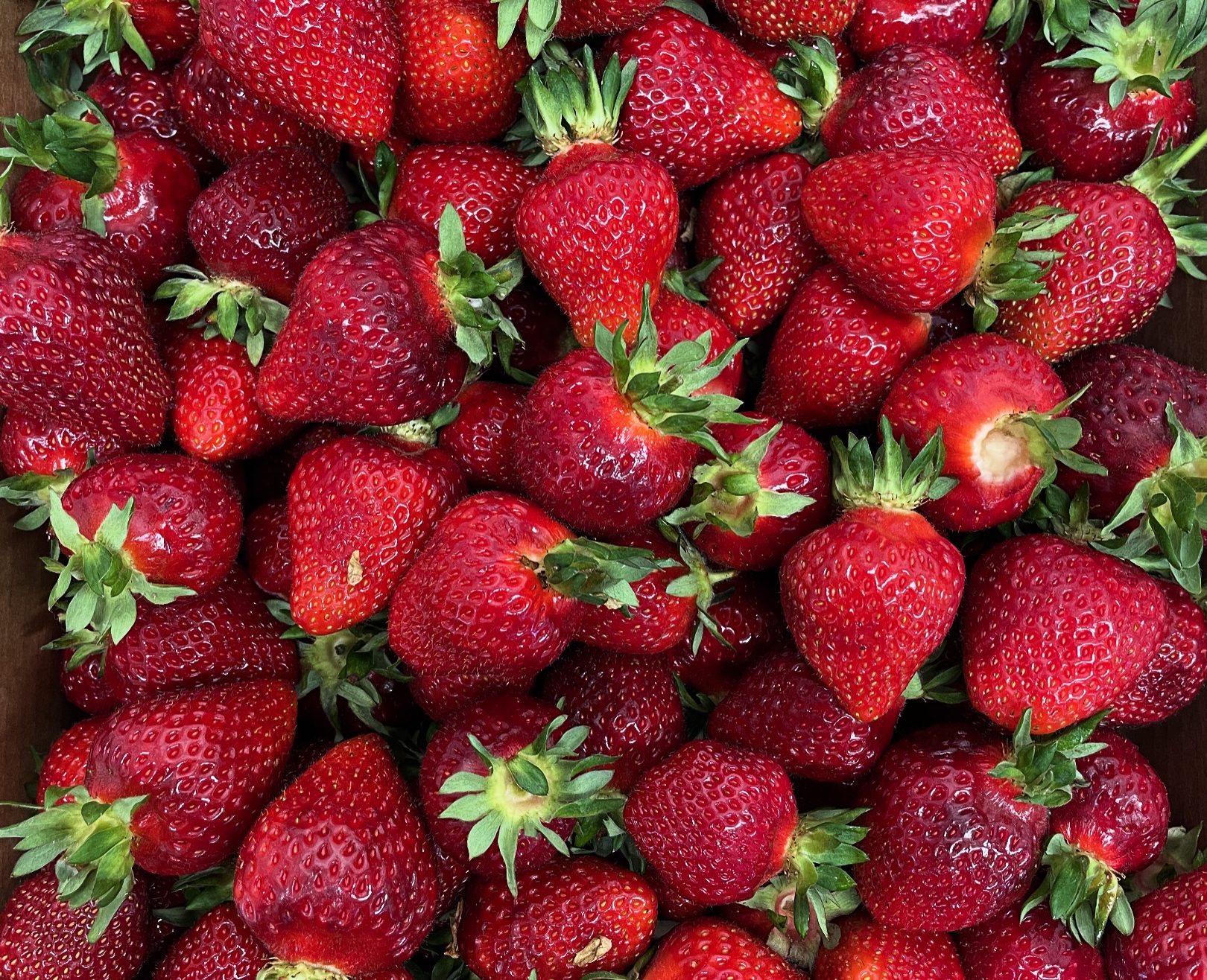 Fresh Boxx Strawberries in Store 6/2/2025
