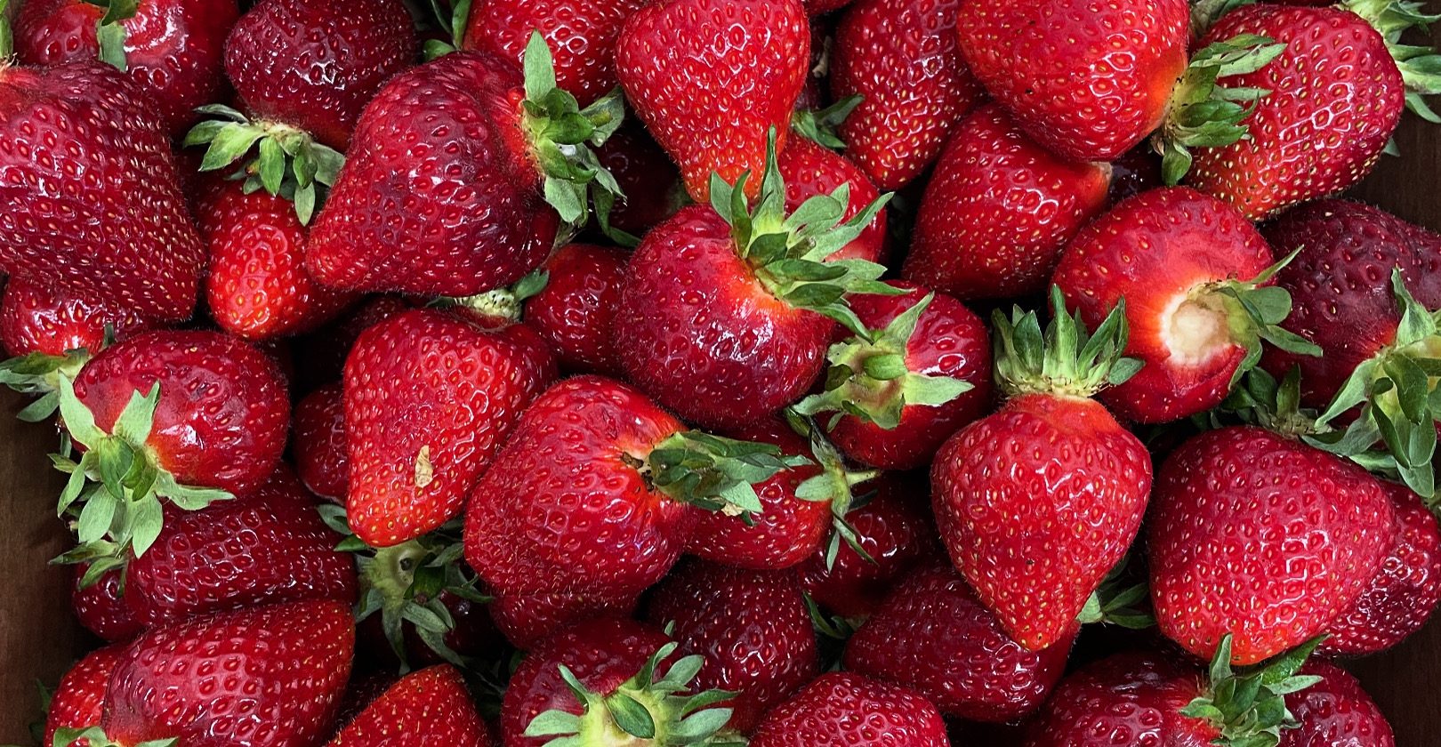 Fresh Boxx Strawberries in Store 6/2/2025