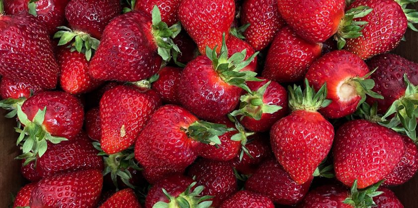 Fresh Boxx Strawberries in Store 6/2/2025