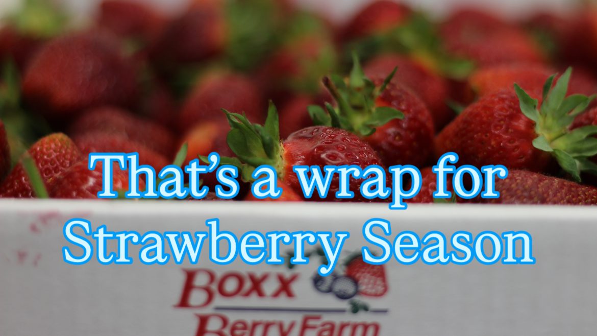 6/30/2025 – Boxx Strawberry Season Over