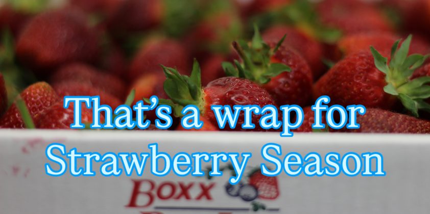 6/30/2025 – Boxx Strawberry Season Over