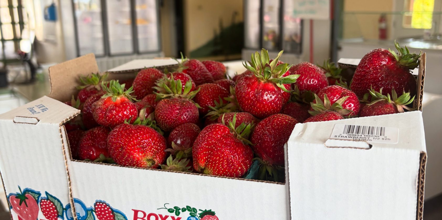 Shortened Strawberry Season