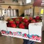 Shortened Strawberry Season