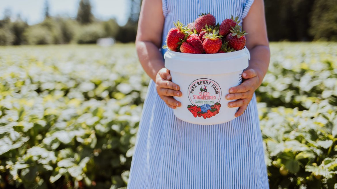 Final Week of Strawberries 6/16/2025