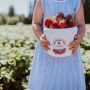 Final Week of Strawberries 6/16/2025