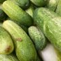 Cucumber Update