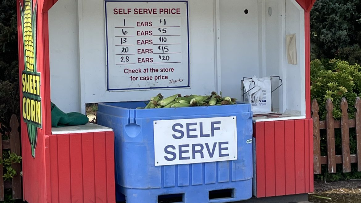 Boxx-Grown Corn Available 7/25/2025